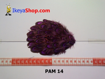 bulu PAD motif PAM 14   feather  large2